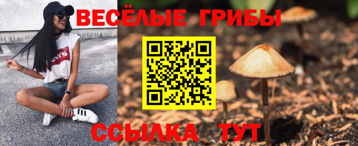 Псилоцибиновые грибы MAGIC MUSHROOMS Отрадный